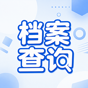 档案查询